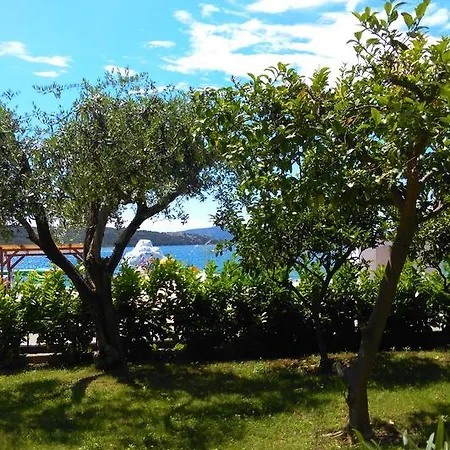 Apartman Naranca Trogir