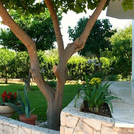 Apartamento Naranca Trogir